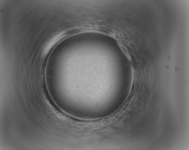 X0000063440005200601201206