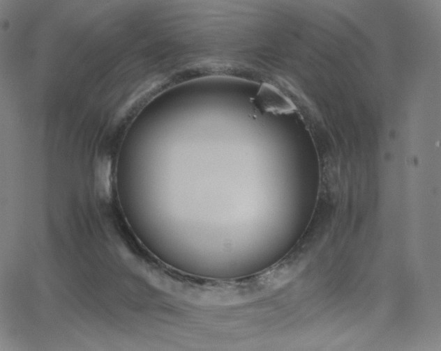 X0000063440024200601201206