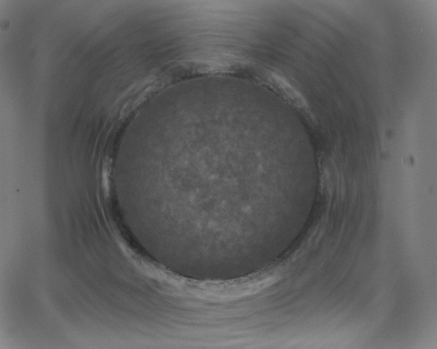 X0000063440026200601201206