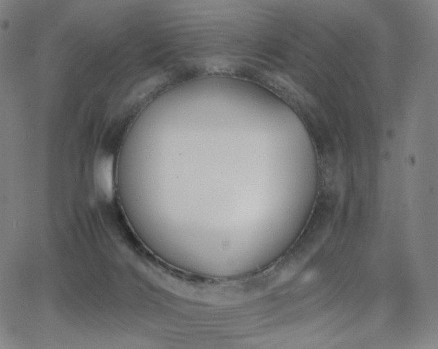 X0000063440028200601201206