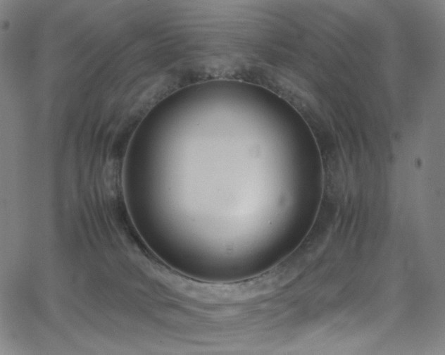 X0000063440034200601201206