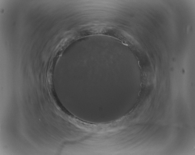 X0000063440035200601201206