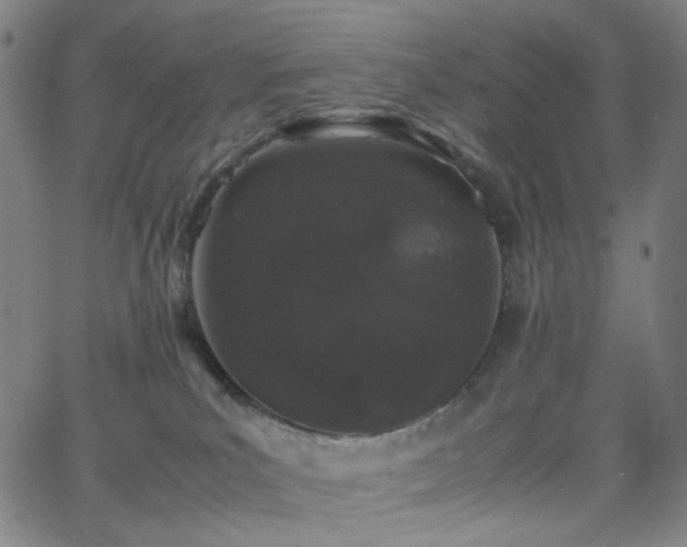 X0000063440039200601201206