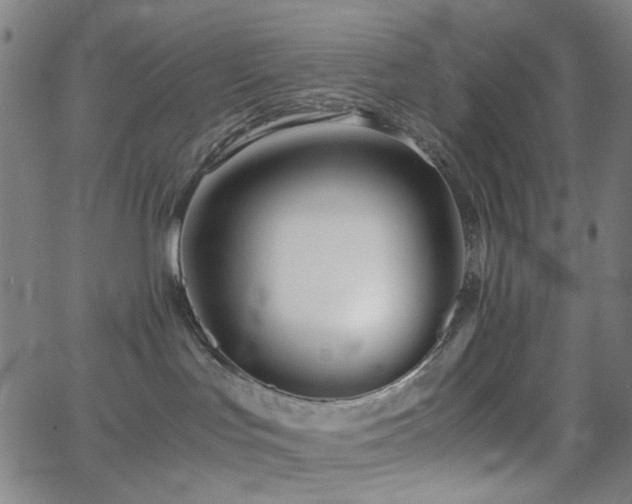 X0000063440047200601201206