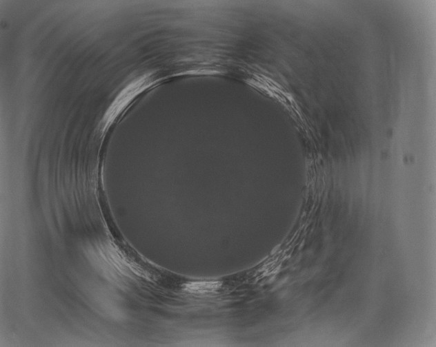 X0000063440051200601201205