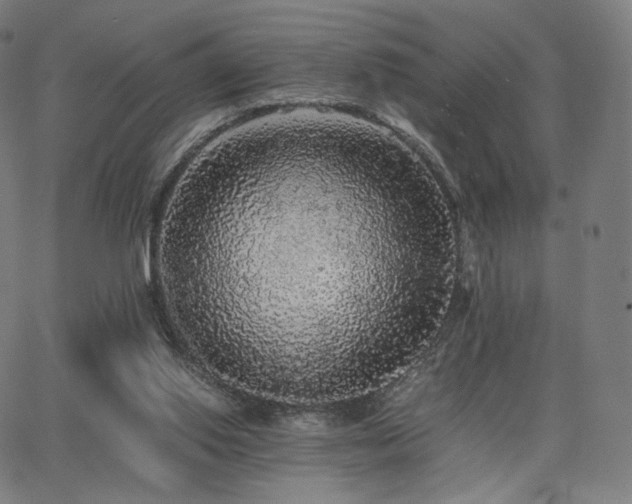 X0000063440062200601201205