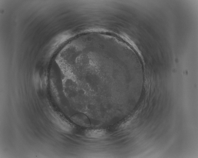 X0000063440063200601201205