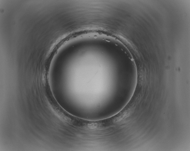 X0000063440064200601201205