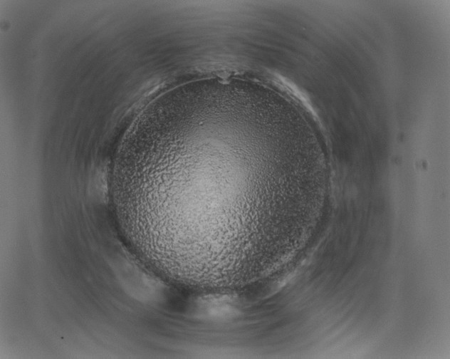 X0000063440065200601201205