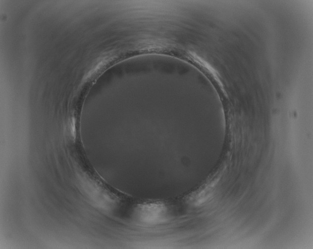 X0000063440067200601201205