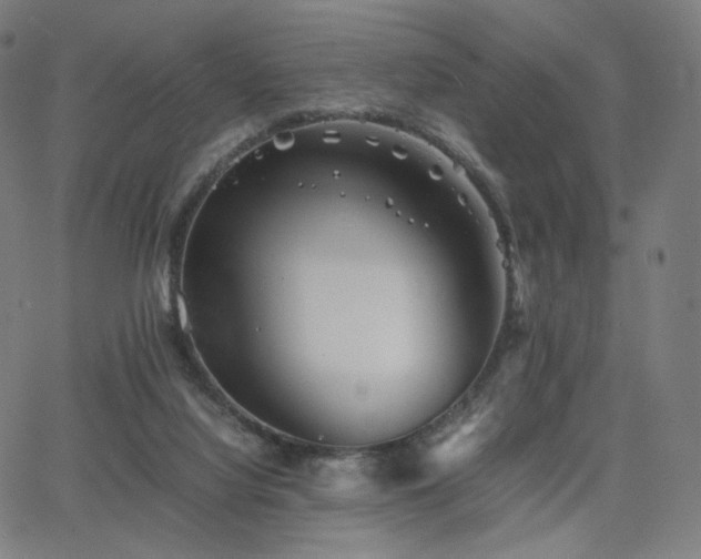 X0000063440068200601201205