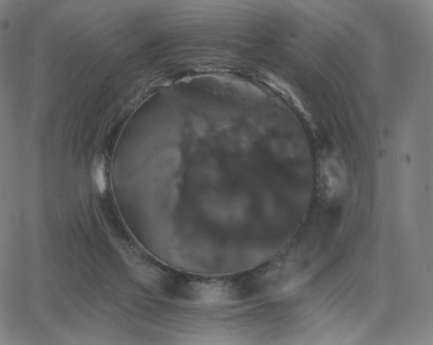 X0000063440069200601201205