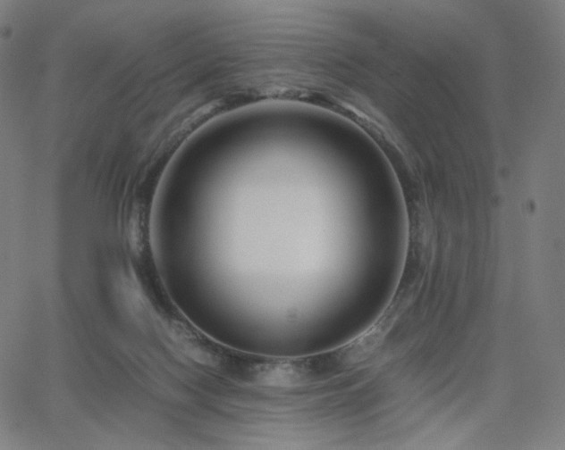 X0000063440074200601201205