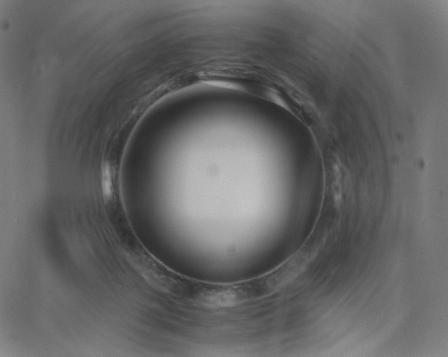 X0000063440075200601201205