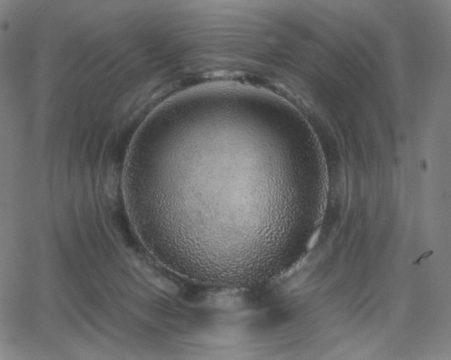 X0000063440078200601201205