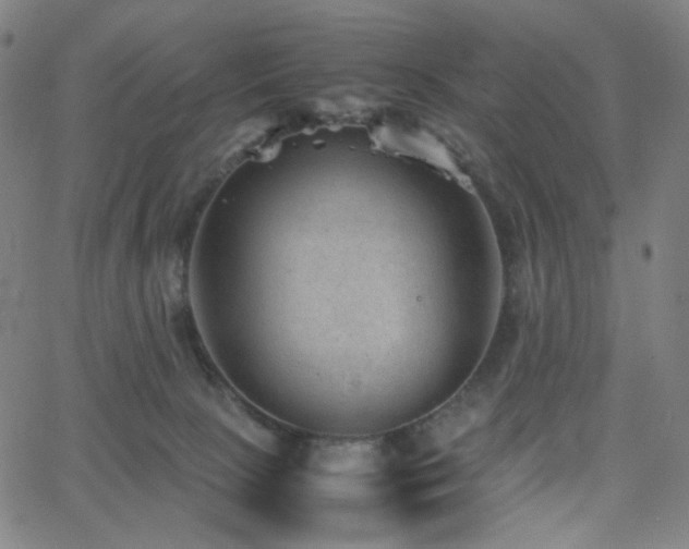 X0000063440081200601201205