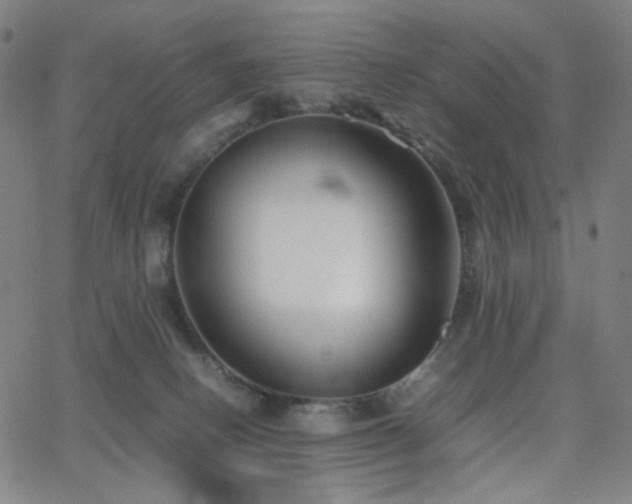 X0000063440082200601201206