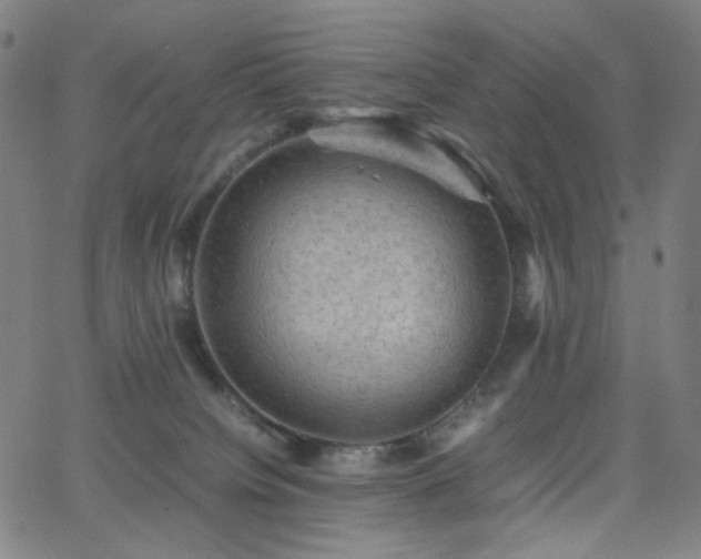 X0000063440084200601201206