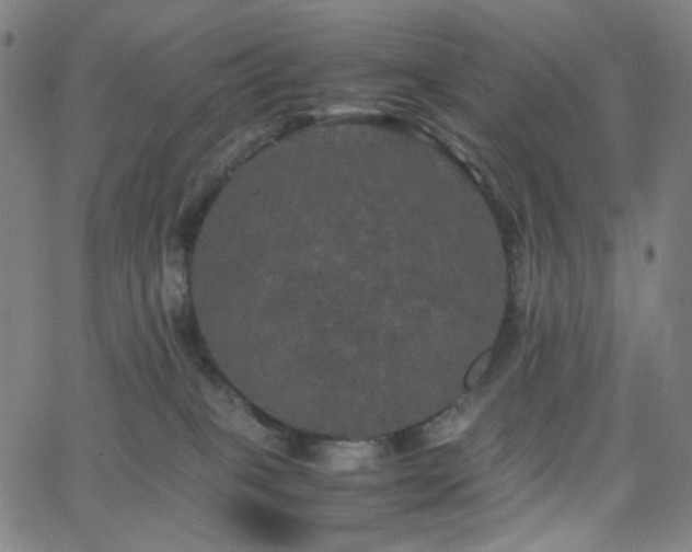 X0000063440085200601201206