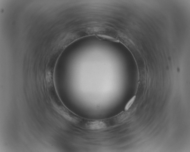 X0000063440087200601201206
