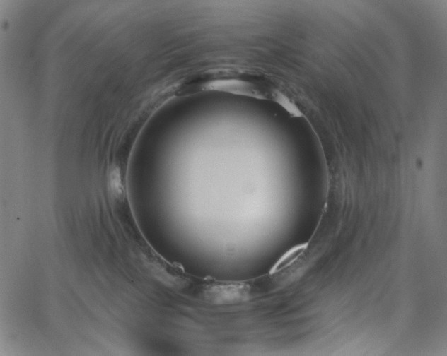 X0000063440089200601201206