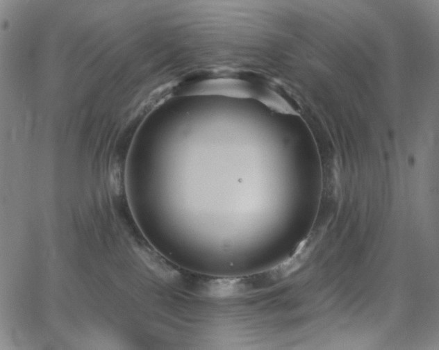 X0000063440090200601201206