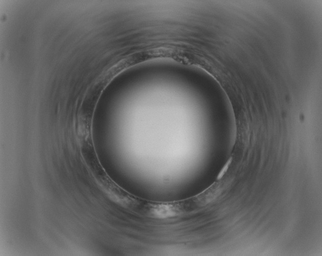 X0000063440091200601201206