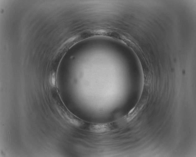 X0000063440095200601201206
