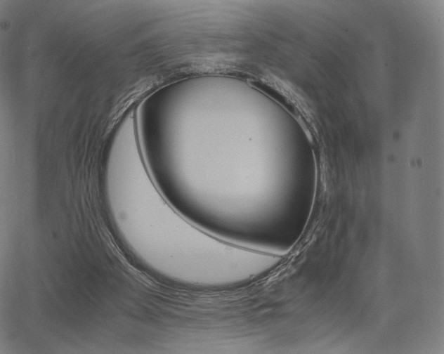 X0000063440105200601201205