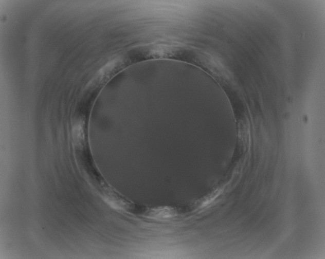 X0000063440127200601201204