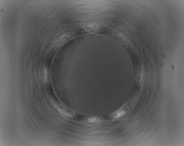 X0000063440130200601201204