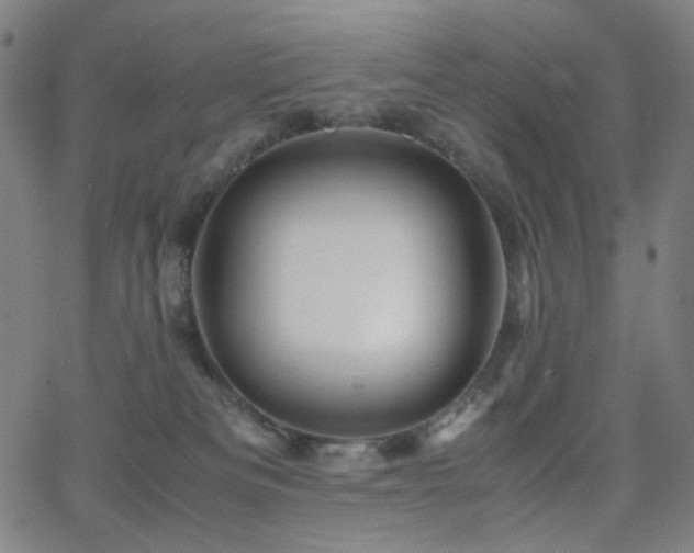 X0000063440133200601201204
