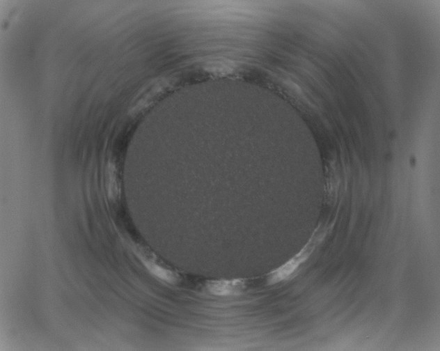 X0000063440136200601201204