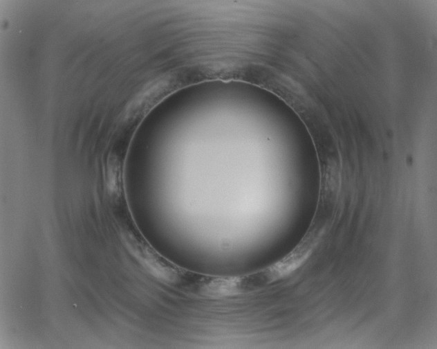 X0000063440138200601201204