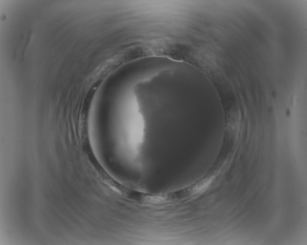 X0000063440139200601201204