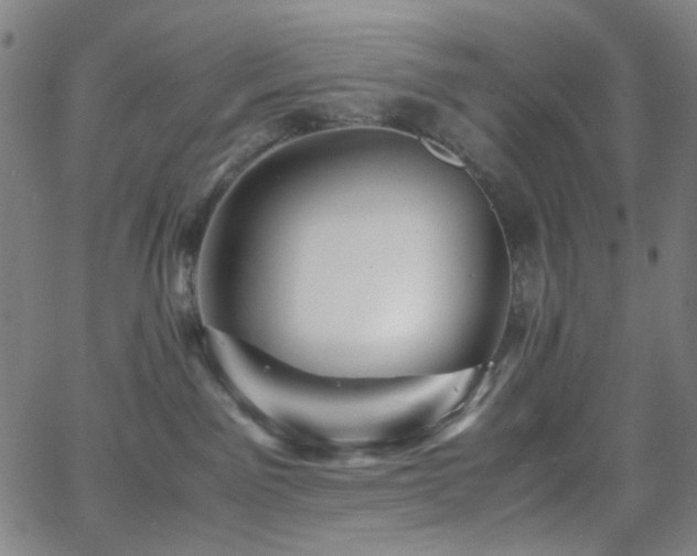 X0000063440141200601201204