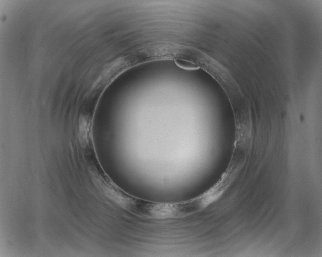 X0000063440142200601201204