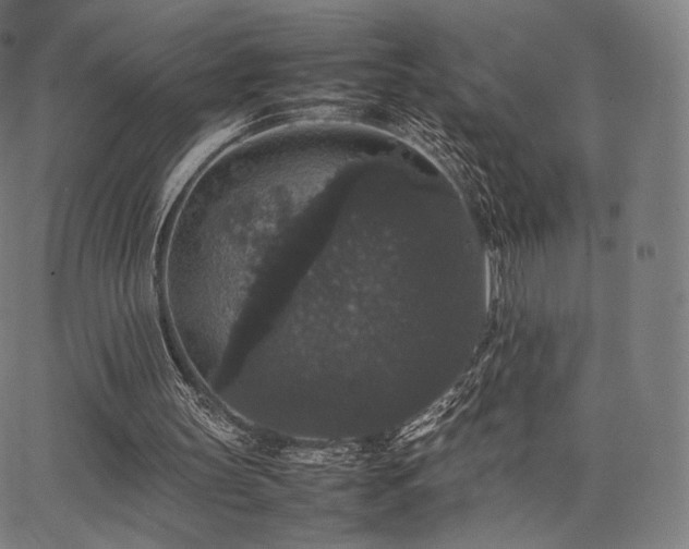 X0000063440147200601201203