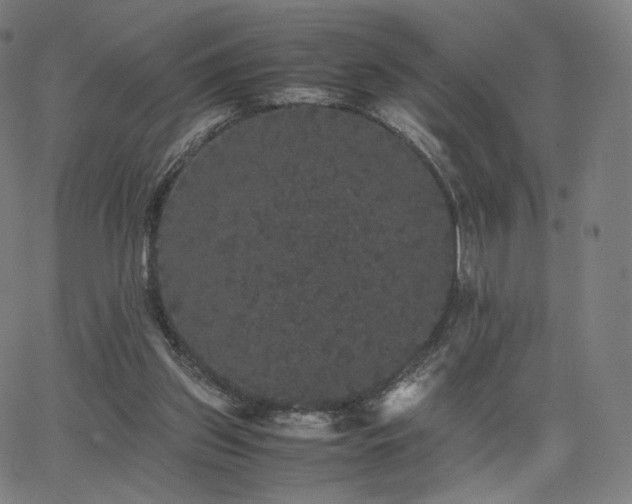 X0000063440157200601201204