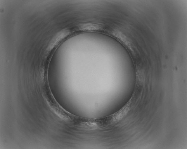 X0000063440159200601201204