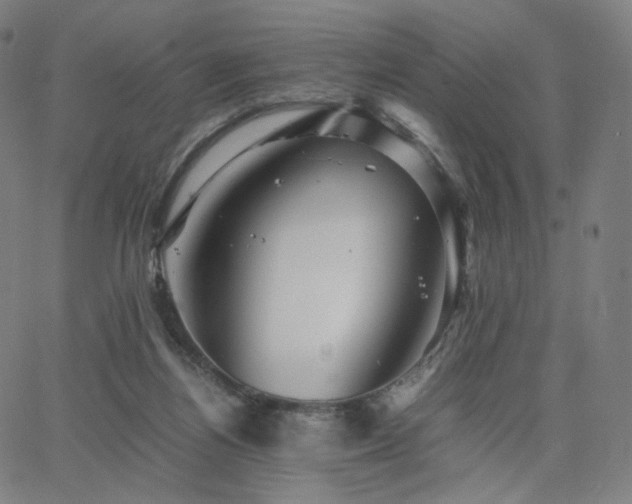 X0000063440164200601201204