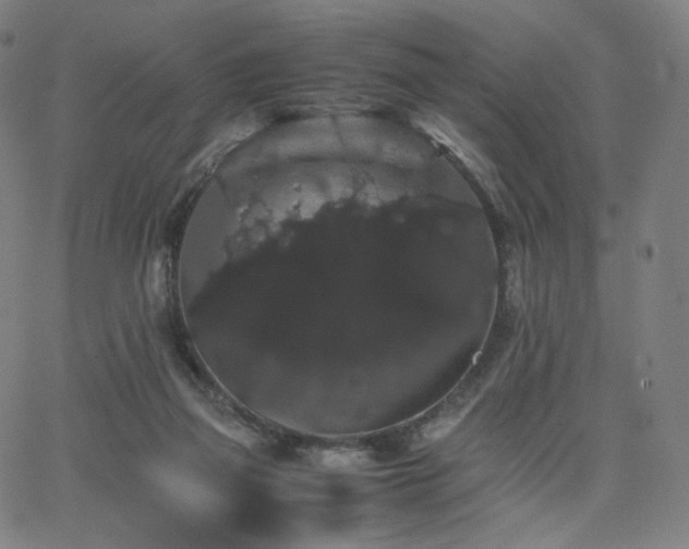 X0000063440165200601201204