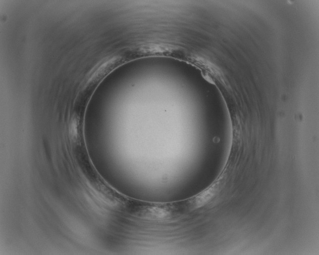 X0000063440166200601201204
