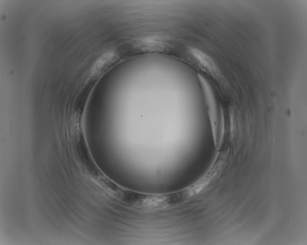 X0000063440172200601201204