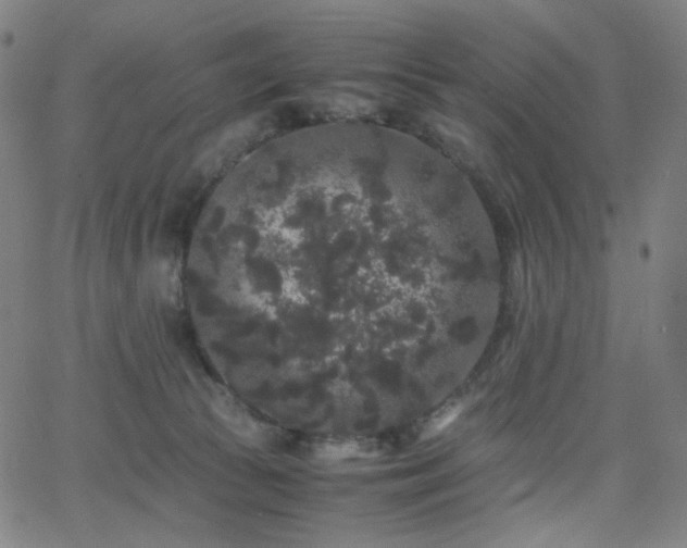 X0000063440177200601201204