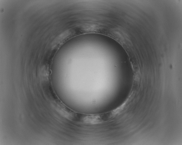 X0000063440179200601201204
