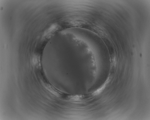 X0000063440182200601201204
