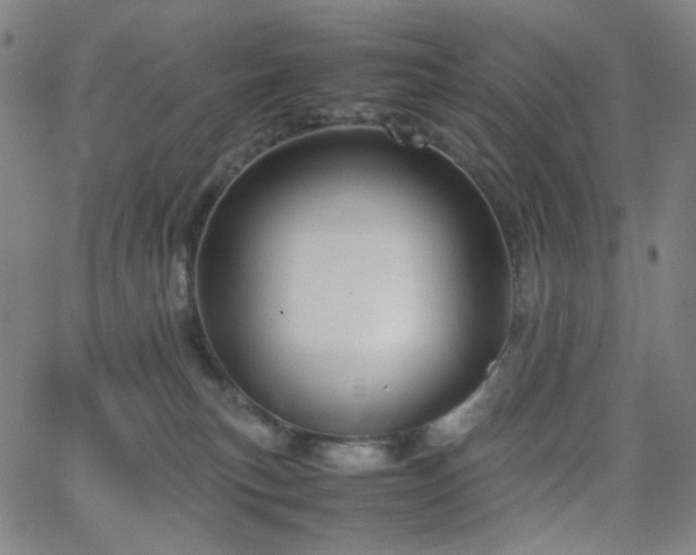 X0000063440183200601201204