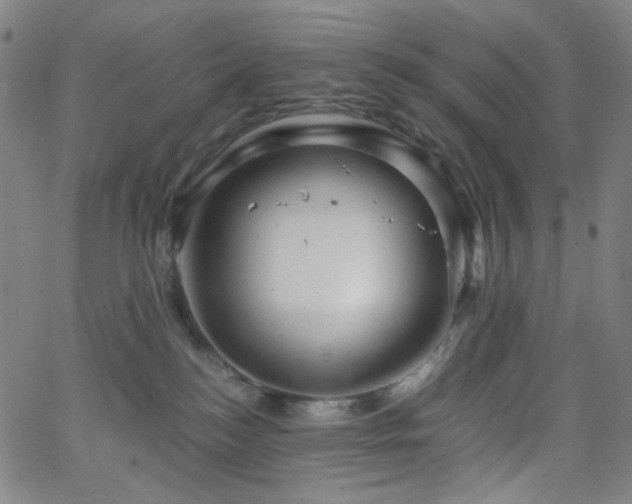 X0000063440184200601201204