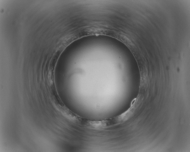 X0000063440187200601201204